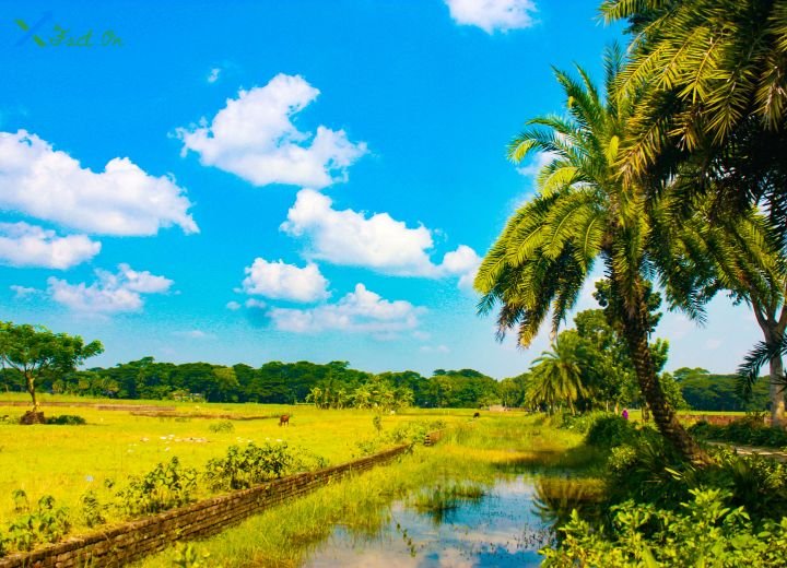 বাংলাদেশের প্রাকৃতিক সৌন্দর্যের প্রশংসা