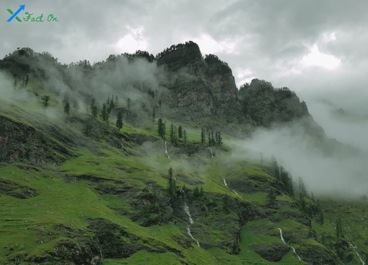 বাংলাদেশের প্রাকৃতিক সৌন্দর্য রচনা