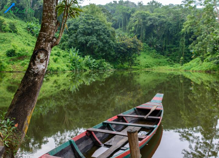 বাংলাদেশের প্রাকৃতিক সৌন্দর্য রচনা